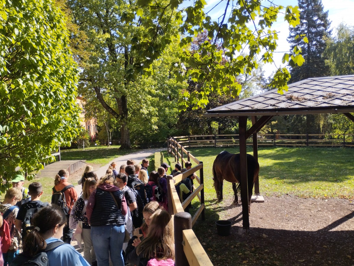 Slide 8