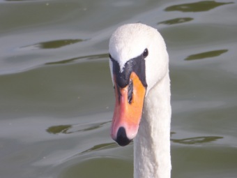 Rekreace Staré Splavy - 14.9. - 19.9. 2014