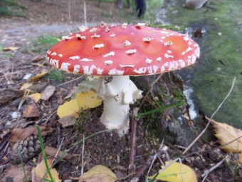 Rekreace Staré Splavy - 14.9. - 19.9. 2014