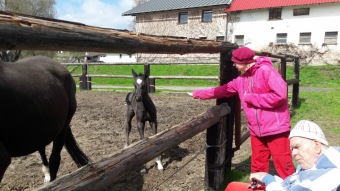 Společný jarní pobyt v Jedlové v Orlických horách 17. – 23. 4. 2016  za účastí domova Rychnov n. Kněžnou a Rokytnice v Orl. horách