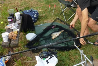 3.9. 2016 Handicap Fish Cup Lázně Bohdaneč - rybářské závody