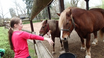2016 Orientační běžci na Žampachu (5. kolo VčP OB 16.04. 2016)