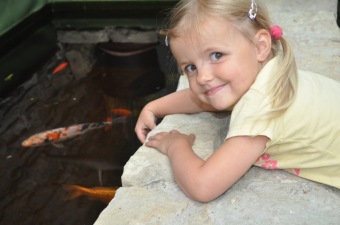 11.7.2015 - Letní hudební festival pod hradem Žampach