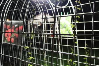 Letní hudební festival - 15. ročník 14.7. 2018