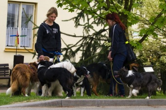 Přes tři hrady - stanoviště Žampach - 9.5.2015