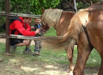 Přes tři hrady - stanoviště Žampach - 9.5.2015