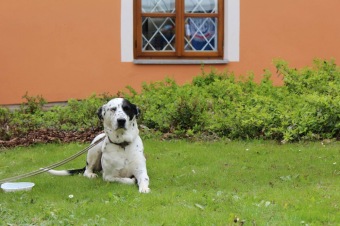 6.5. 2017 - Přes tři hrady - stanoviště a trasy Žampach