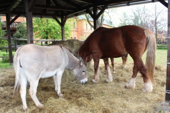 6.5. 2017 - Přes tři hrady - stanoviště a trasy Žampach