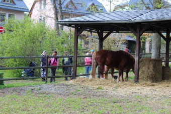 6.5. 2017 - Přes tři hrady - stanoviště a trasy Žampach