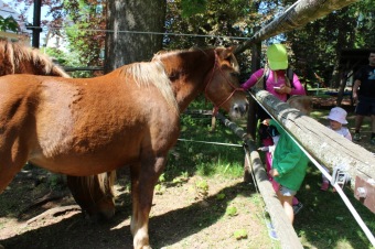 2018 - Přes tři hrady - stanoviště a trasy Žampach (5.5.)