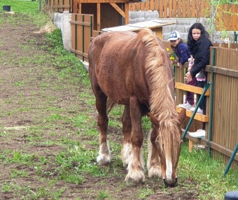2022 - Přes tři hrady - stanoviště a trasy Žampach (7.5.)