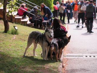 2025 - Přes tři hrady - stanoviště a trasy Žampach (10.5.)