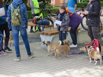 2025 - Přes tři hrady - stanoviště a trasy Žampach (10.5.)