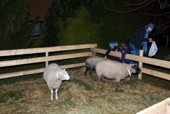 12.12 2014  Vánoční akce - Jarmark - dětské dílny - koncert