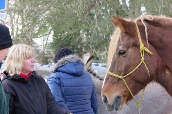 2016 - Příprava akce - Jarmark - dětské dílny - koncert (8.12.)