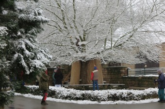 2017 - Příprava akce - Jarmark - dětské dílny - koncert (1.12.)