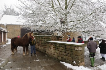 2017 - Příprava akce - Jarmark - dětské dílny - koncert (1.12.)