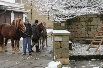 2017 - Příprava akce - Jarmark - dětské dílny - koncert (1.12.)