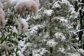 2017 - Příprava akce - Jarmark - dětské dílny - koncert (1.12.)