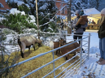 2023 VÁNOČNÍ JARMARK (1.12.)