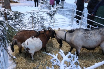 2023 - Vánoční akce - Jarmark - dětské dílny - koncert (1.12.)