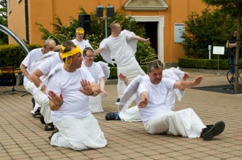 Zámecká slavnost a dětský den - 30.5. 2015