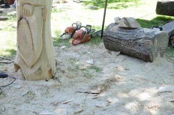 2017 - Zámecká slavnost a dětský den - 50 let služeb (27.5.)