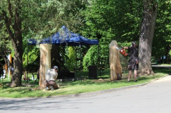 2017 - Zámecká slavnost a dětský den - 50 let služeb (27.5.)