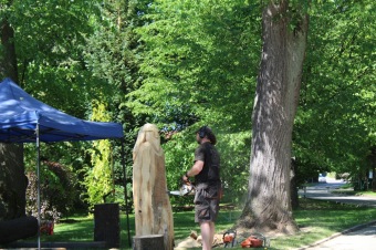 2017 - Zámecká slavnost a dětský den - 50 let služeb (27.5.)