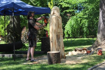 2017 - Zámecká slavnost a dětský den - 50 let služeb (27.5.)