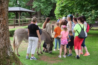 2019 Zámecká slavnost a dětská den (1.6.)