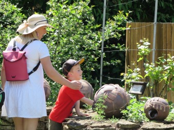 Zámecké odpoledne pro děti 31.5. 2025