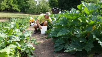Zahradnictví - aktivizační centrum  (červenec 2015)
