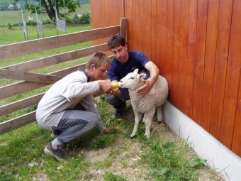 2016 Canisterapie - Ing. Radko Loučka, CSc - nominace dobrovolník roku Pardubického kraje