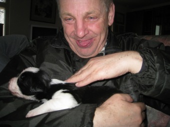 2016 Canisterapie - Ing. Radko Loučka, CSc - nominace dobrovolník roku Pardubického kraje