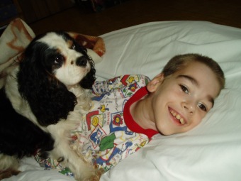 2016 Canisterapie - Ing. Radko Loučka, CSc - nominace dobrovolník roku Pardubického kraje