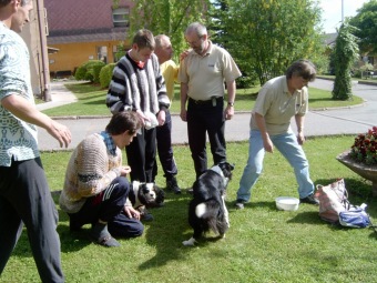 2016 Canisterapie - Ing. Radko Loučka, CSc - nominace dobrovolník roku Pardubického kraje