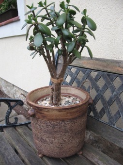 Dílenské výrobky - keramika (2016)