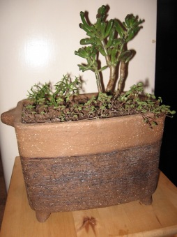 Dílenské výrobky - keramika (2016)