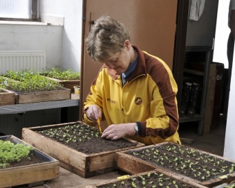 Zahradnictví - aktivizační centrum - jarní práce 2016