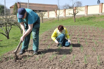 Zahradnictví - aktivizační centrum - jarní práce 2016