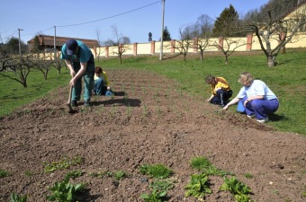 Zahradnictví - aktivizační centrum - jarní práce 2016