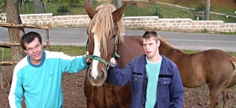 2017 Chov domácích zvířat - zooterapie