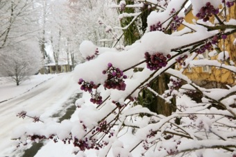 2017 Práce obyvatel v zimním období a krásy zimy