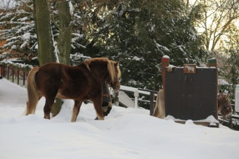 2017 Práce obyvatel v zimním období....