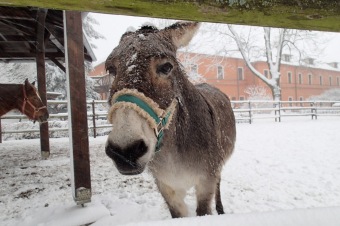 2017 Práce obyvatel v zimním období a krásy zimy