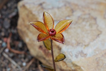 2018 Dílenské výrobky - sklo