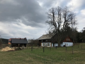 2019 FILMOVÝ FESTIVAL MENTAL POWER - XIII. ročník (7. -8.6.)