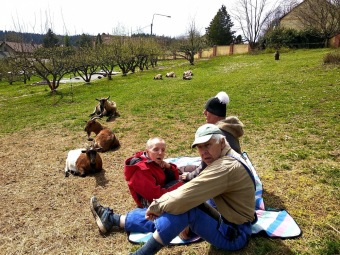 2021 Chov domácích zvířat a zooterapie