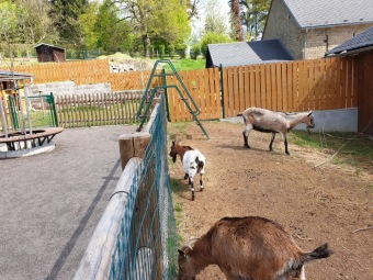 2021 Chov domácích zvířat a zooterapie